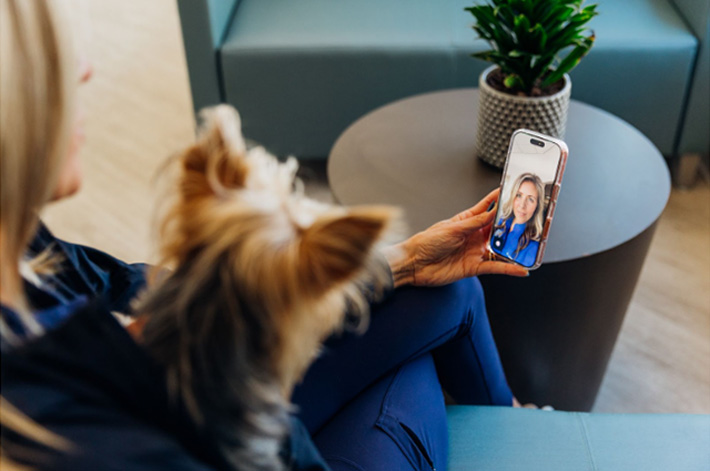 Cat-Dog-Veterinary-Care